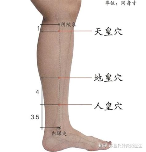 下三皇穴位|各位同学大家好，今天给大家分享的是董氏针灸下三皇